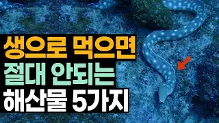 절대 날로 먹지 마세요!! 생으로 먹으면 안되는 해산물 5가지!
