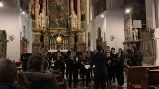 Corul Solemnis - Stille Nacht