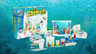 WILD! Science WS17XL Create an Underwater Coral Reef