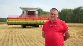 Harvesting has begun in northern Kazakhstan