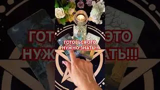 #будушее #+393929906674 #таро #tarot #гадание #tarotube #судьба #таролог #мысли #мужчина #знать#