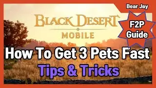 [Global] Black Desert Mobile – How to Get 3 PETS Fast to Improve Grinding