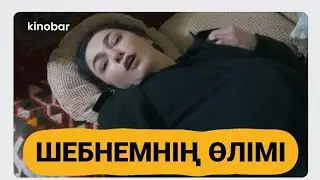Шебнемнің соңы. Өгей өмір соңғы бөлімдер. 
