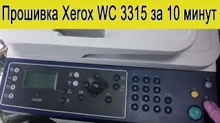 Прошивка принтера Xerox WC 3315 за 10 минут