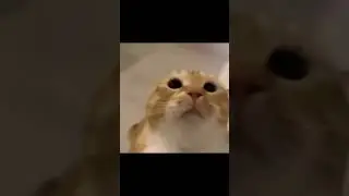 mow :( [reverse]