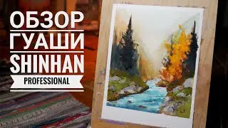 Обзор гуаши ShinHah Professional.
