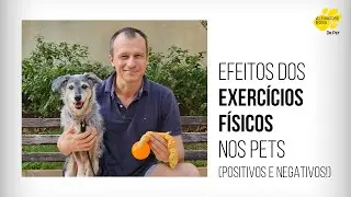 EFEITOS DOS EXERCÍCIOS FÍSICOS NOS PETS (positivos e negativos!)