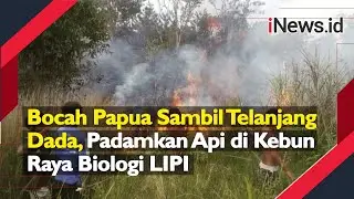Video Bocah Papua Sambil Telanjang Dada, Padamkan Api di Kebun Raya Biologi LIPI