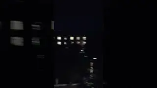 11 августа 2024 г.