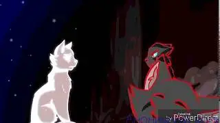 Всех с Днём победы! Коты воители - клип эхо войны