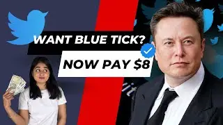 Twitter is planning to start charging $8 per month for verified account |  Tacticana