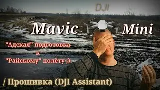 DJI Mavic Mini Assistant 2 flash. Наглядный процесс прошивки. +Заметки 