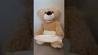 Пикабу медвежонок играет в прятки