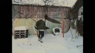выбивалка.