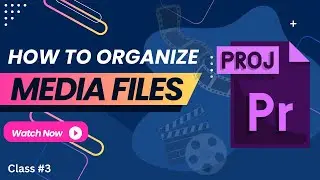 How to Create bins and Folders in Premier Pro | How to Use Bins in Premiere Pro