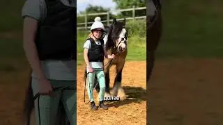 Харти и его дальнейшая судьба