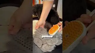 His fur was falling out... 🐈🐱