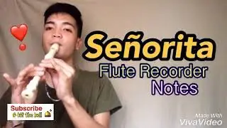 SEÑORITA - FLUTE RECORDER COVER with Chords / Notes and lyrics (by Shawn Mendes and Camila Cabello)