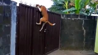 Когда очень хочется сбежать