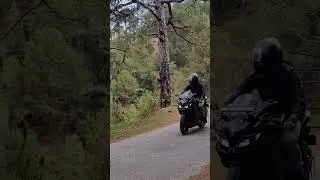 First time wheelie r15 #bike #offroad #yamahar15 #modified #r15v3