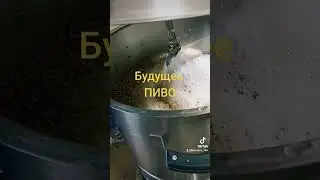 Затирка солода на пиво. #алкоголь #домспирт #рецепт #пиво #пивоварение #вкусно