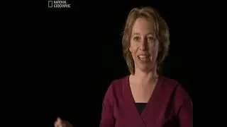 Гибель Вселенной