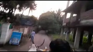 Prakriti resort Alibaug