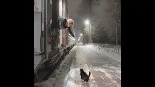 Кот проводник помог найти дорогу и получил вознаграждение!!!