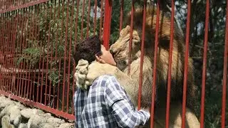 Animals Reunited With Their Owners After Years!