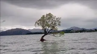 Mesmerised...
