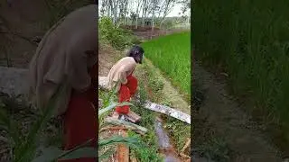 Main Ke Mall ❌ Main ke sawah ✅ 