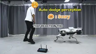 Shy Little Robot Doggy | Auto-dodge perception