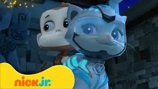 ¡Los mejores rescates y aventuras de la manada de gatos de PAW Patrol! 🐱 | Nick Jr. en Español