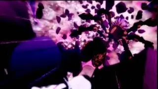 【AMV】  - NO SCARED !