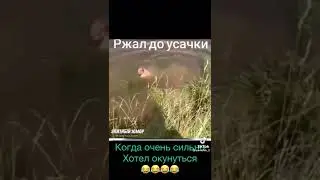Ржака)))