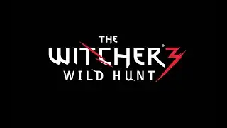 The Witcher 3: Wild Hunt Next-Gen GTX 970 OC 1080p ULTRA Hairworks DX12