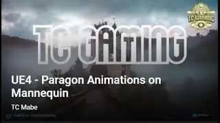 UE4 -  Paragon Animations on Mannequin
