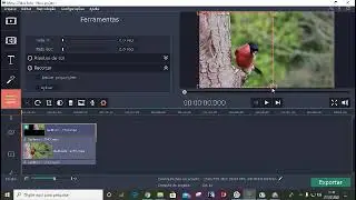 Como Inverter vídeos na horizontal usando o MOVAVI