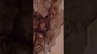 АЛКОГОЛИЗМ И НАРКОМАНИЯ СОСЕДЕЙ ПРОГРЕСИРУЕТ.