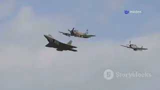 The evolution of aircraft