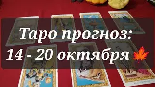 Таро прогноз на неделю: 14 - 20 октября 2024 🍁 Таро расклад