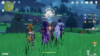 Genshin Impact: Random Co-op w/ Friends