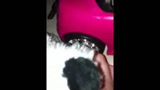 Webkinz car accident (Happy Webkinz day)