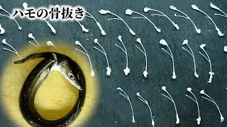 [Understand the Y] How to remove the bones of conger pike