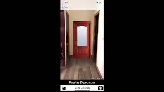 Preview Puertas Dipep app