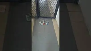 How asians do bowling #memes #shorts