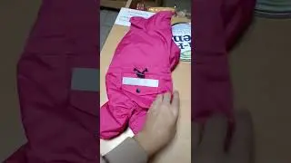 #одеждадлясобак