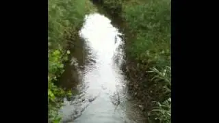 Goodhue Ditch, 6 July 2010
