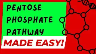 THE PENTOSE PHOSPHATE PATHWAY - MADE EASY!