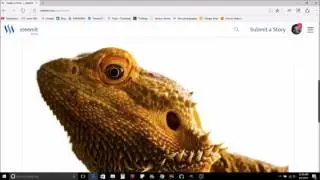 How to Position Photos Using Markdown